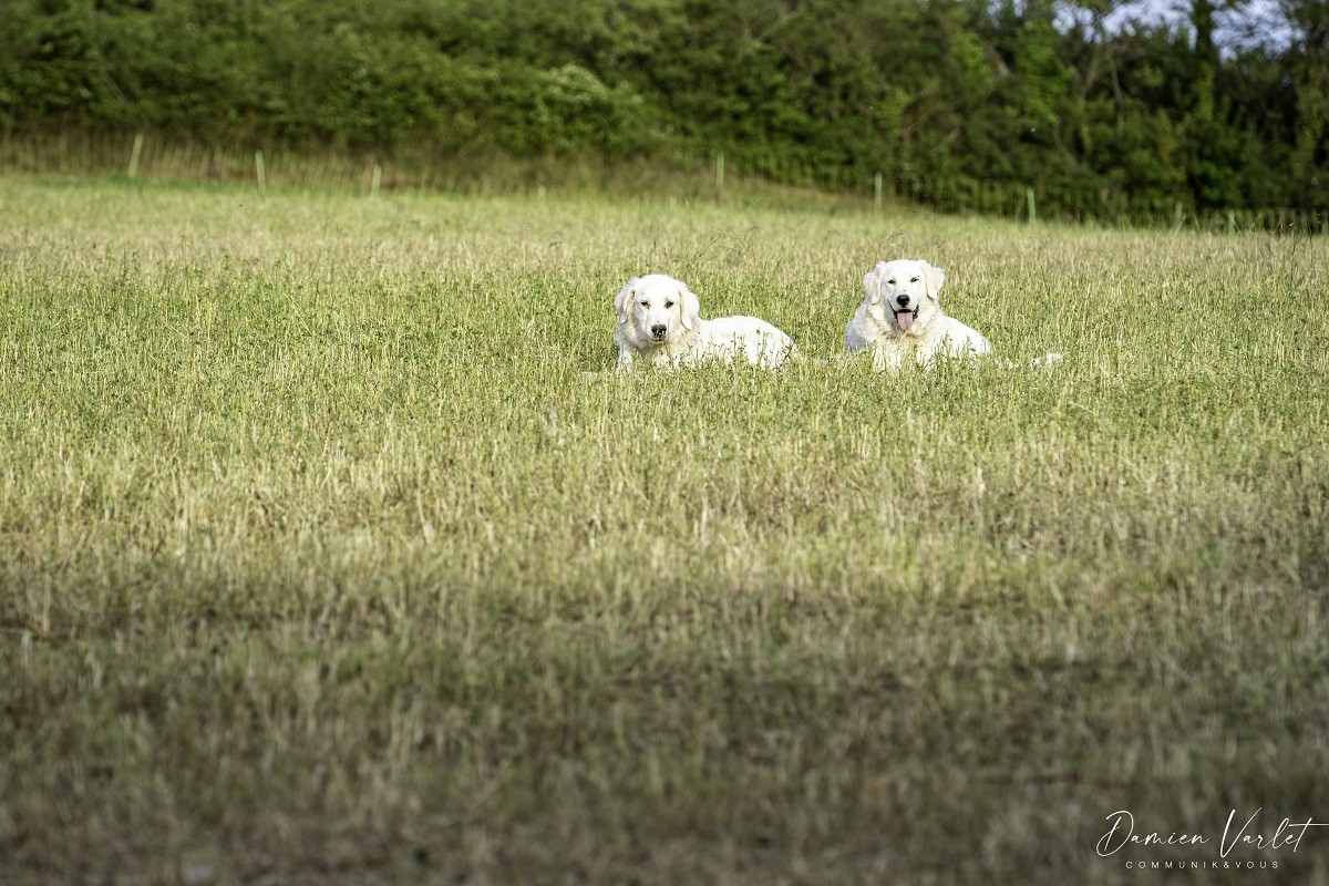 Sacha et Syra