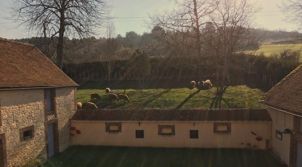 Il était une ferme... dans l’Yonne, 89. Vente directe d'ovins et de viande d'agneau issus de l’éco-pâturage.